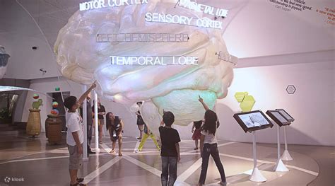 the mind museum reviews